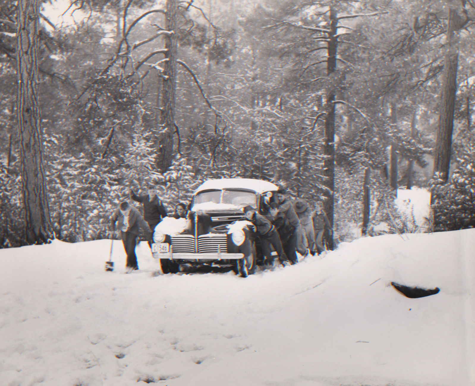 Snow on Mt. Lemmon